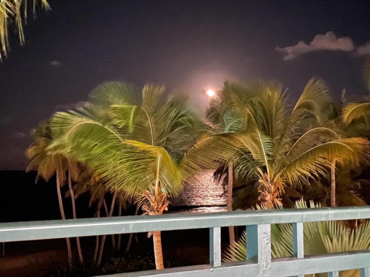 Beachfront Luxury 2 Bedroom At Wyndham Rio Mar, Pr 卢基约 外观 照片