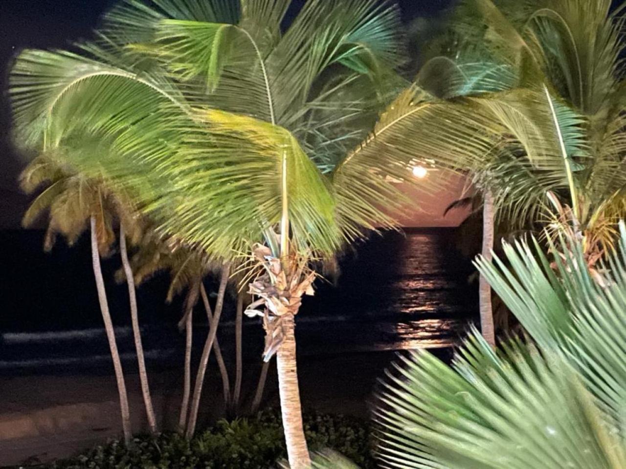 Beachfront Luxury 2 Bedroom At Wyndham Rio Mar, Pr 卢基约 外观 照片