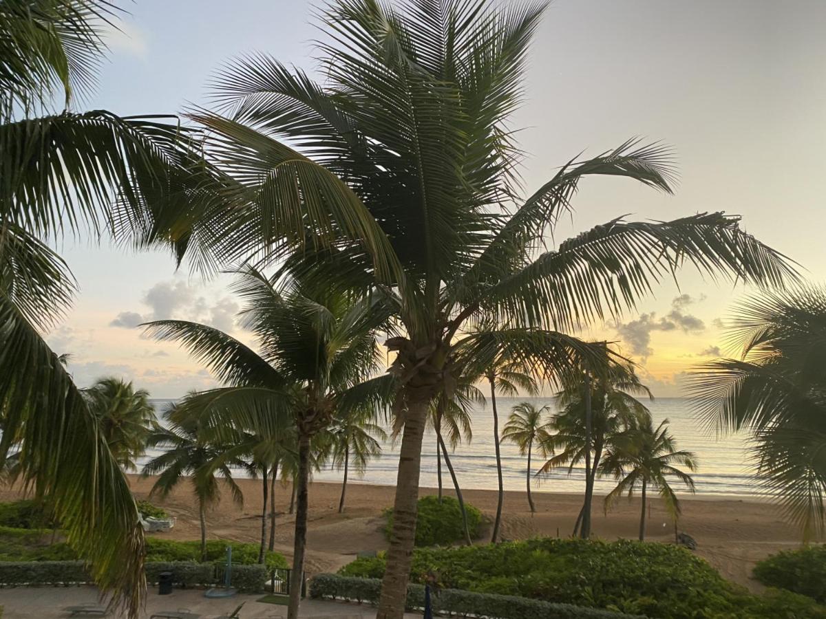 Beachfront Luxury 2 Bedroom At Wyndham Rio Mar, Pr 卢基约 外观 照片