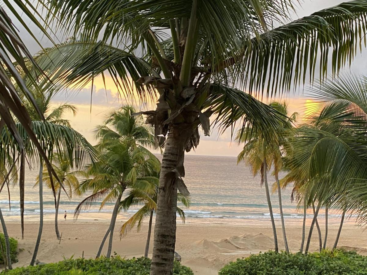 Beachfront Luxury 2 Bedroom At Wyndham Rio Mar, Pr 卢基约 外观 照片